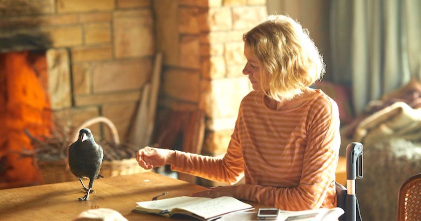 نتفليكس تشتري حقوق عرض فيلم ناعومي واتس الجديد Penguin Bloom