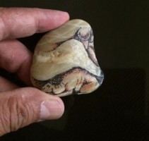 ترنيمة الحصى .. تصورات ورؤى فاض بها الجلمود!
