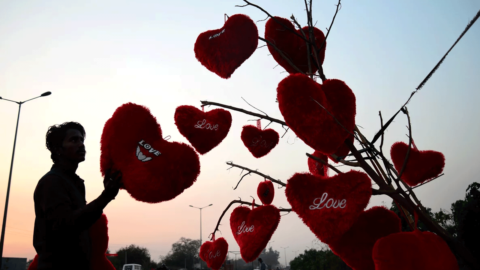 صورة تعبيرية التٌُقِطَت في الهند.. قلوبٌ تتدلى من شجرة في جالاندهار