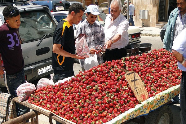 بائع متجول في المغرب
