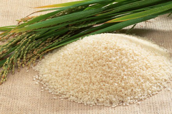 السعودية تستهلك سنوي ا 1 3 مليون طن من الأرز