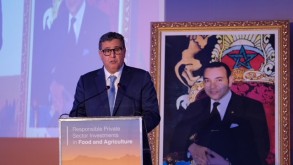 خبراء يدعون للإستفادة من الإستثمار الخاص لمواجهة الفقر والجوع