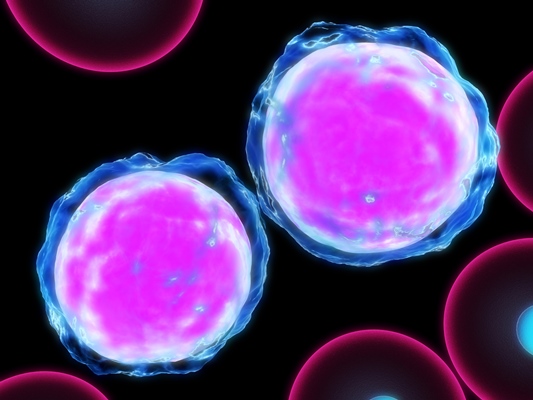 تمكين خلايا اللوكيميا من محاربة بعضها
