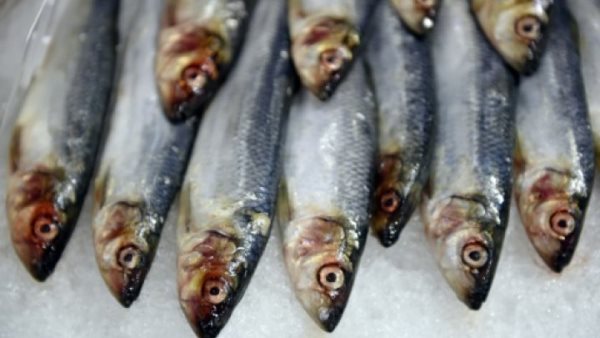 الأسماك أكثر الأطعمة الغنية بأوميغا 3