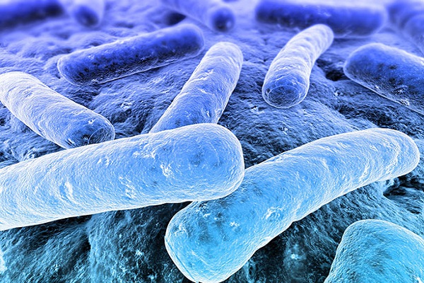 البكتيريا قادرة على التهام الاجهزة الإلكترونية