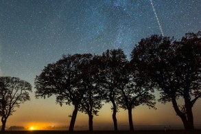 التلوث الضوئي يؤثر على التنوع البيولوجي في كوكبنا