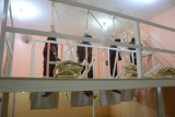 العراق ينفذ حكم الإعدام بمجموعة من عناصر داعش