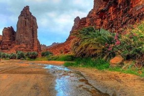 تعرف إلى مشروع تطوير وادي الديسة السعودي
