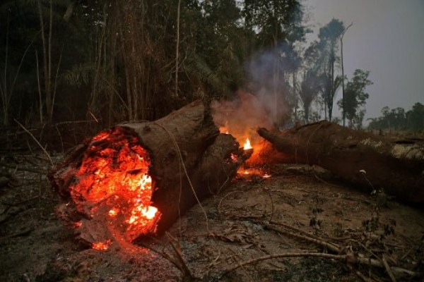 لسان حال عكس ينفجر  النيران تواصل التهام أجزاء من غابات الأمازون