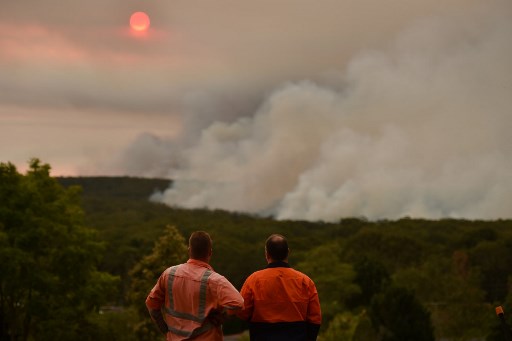 أستراليا تعلن الطوارئ في نيو ساوث ويلز بسبب الحرائق