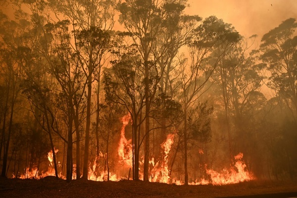 أستراليا تقي م أضرار الحرائق الهائلة بعد يوم كارثي