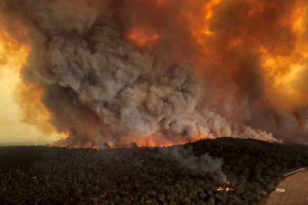 حرائق الغابات في أستراليا تتأجج