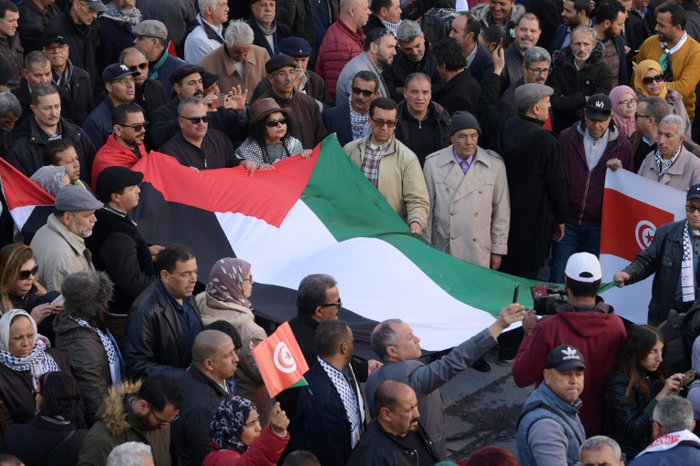 متظاهرون تونسيون يرفعون علما فلسطينيا احتجاجا على خطة دونالد ترمب لحل النزاع الفلسطيني الإسرائيلي