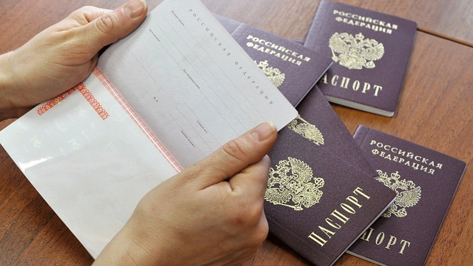 Готово гражданство рф. Упростили гражданство. Российское гражданство.