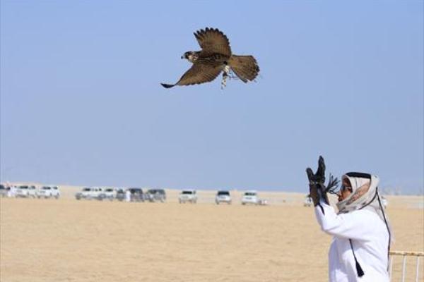 أحد صيادي الطيور النادرة في الصحراء العراقية