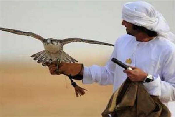 صياد خليجي في الصحراء العراقية