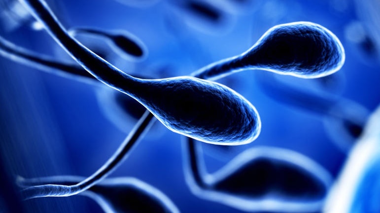 Covid-19 may alter sperm quality in men