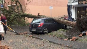 ألمانيا: إعصار يقتلع أشجاراً وقبة كنيسة مخلفاً عشرات الجرحى