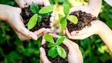 ما هو يوم الأرض الذي يحتفل به العالم في 22 أبريل/ نيسان؟