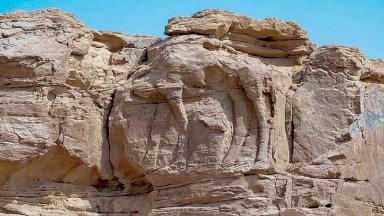 منحوتة لجمل في موقع الجمل بالجوف في السعودية